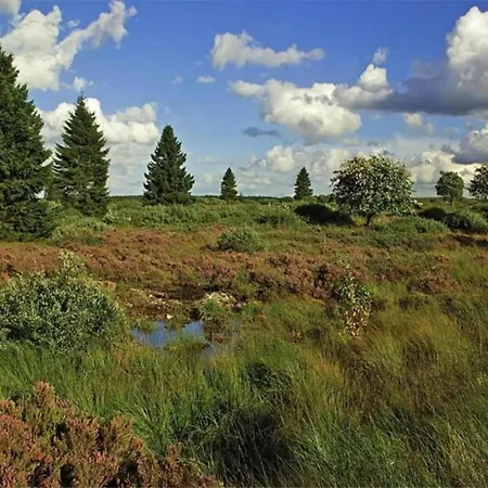 In Roumont With Garden, Cleaning Included Holiday home *